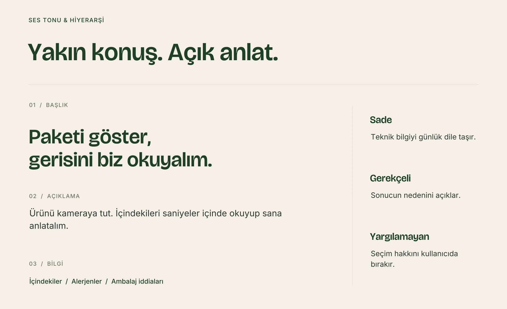 NeYedin marka kimliği — Gıda bilgisi uygulaması — görsel 9/17